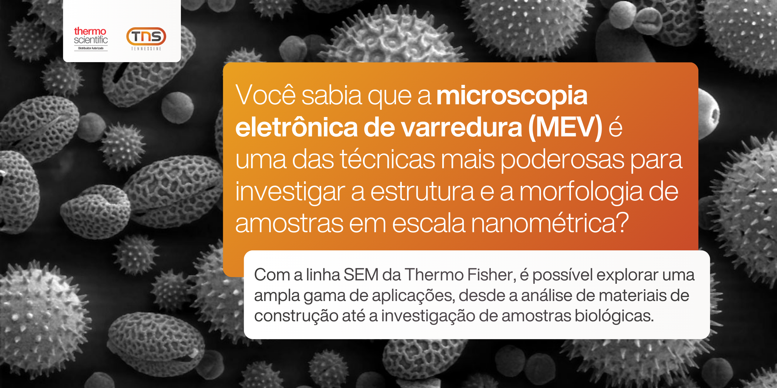 Microscopia Eletrônica de Varredura