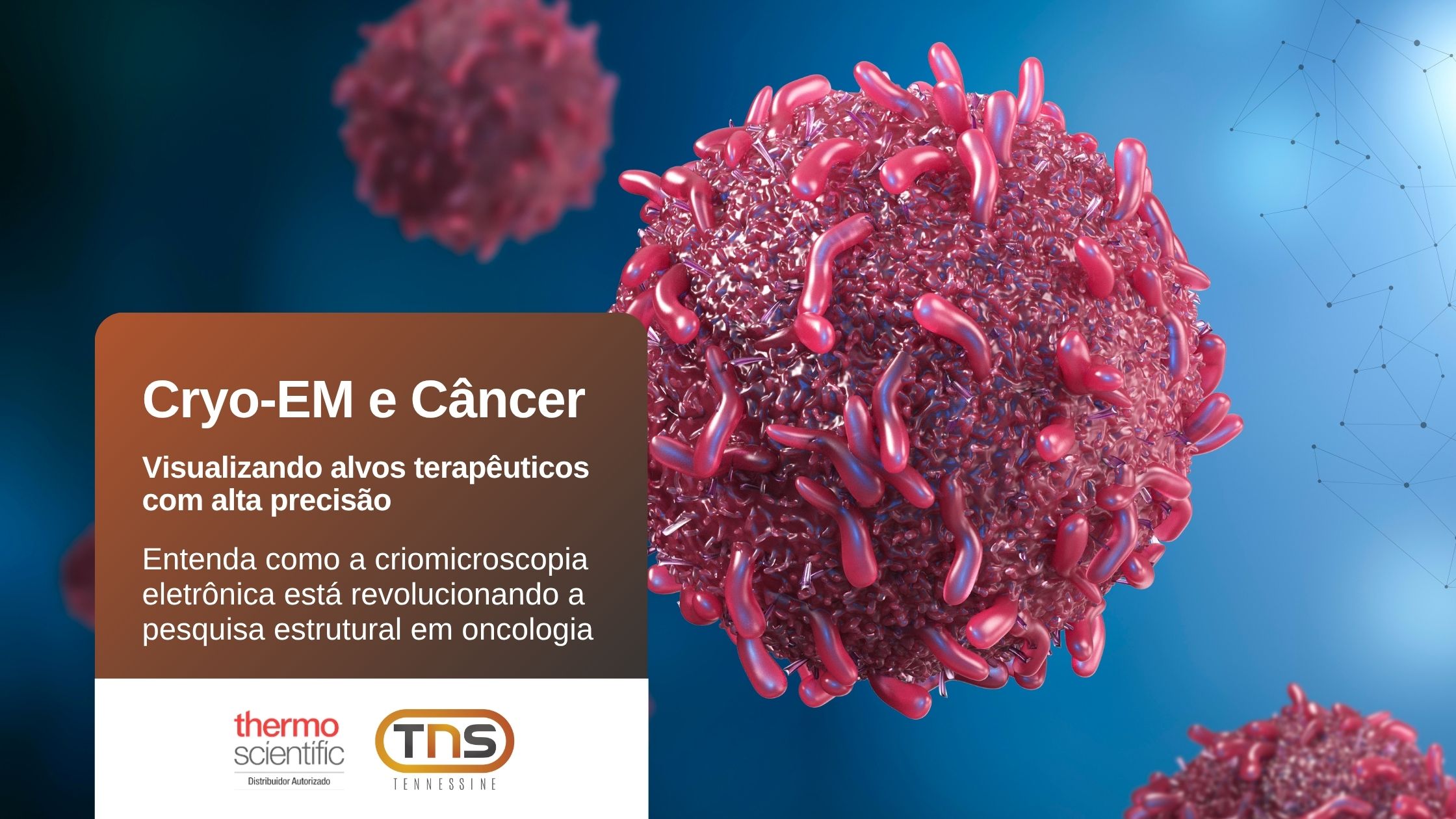 Cryo-EM e Câncer: Visualizando alvos terapêuticos com alta precisão