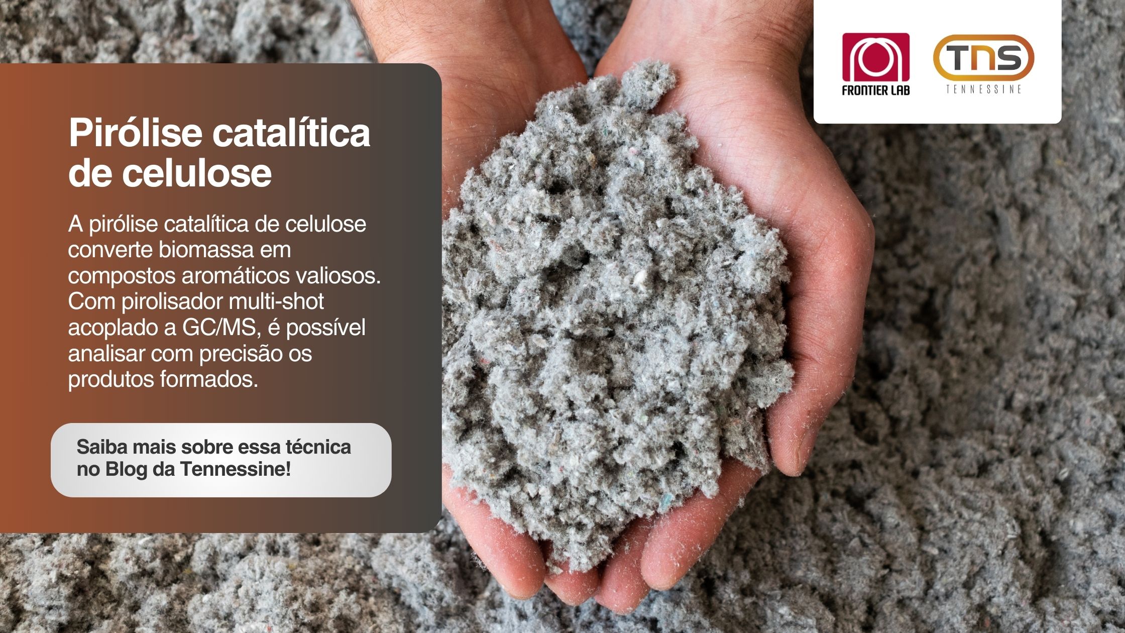 Pirólise catalítica de celulose com GC/MS