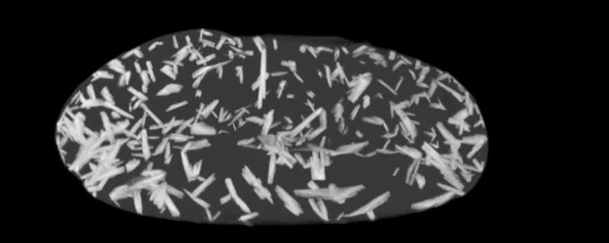 Tomografia computadorizada por raios X revela estruturas delicadas em gálio.
Crédito: Widjajana et al.