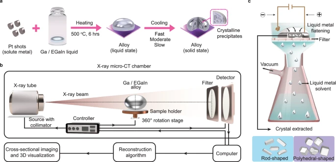 Figura: Ilustração esquemática do crescimento de cristais no interior de um metal líquido em volume e da análise por microtomografia computadorizada por raios X (micro-CT/XCT).
Referência: Widjajana, M.S., Foley, M., Zheng, J. et al. Observing growth of metallic crystals inside liquid metal solvents. Nature Communications, 16, 10044 (2025).