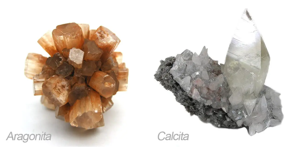 calcita e a aragonita